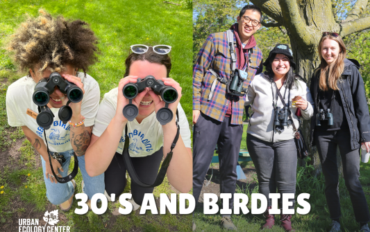 30’s and Birdies, and its